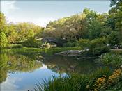AK - Central Park Morning